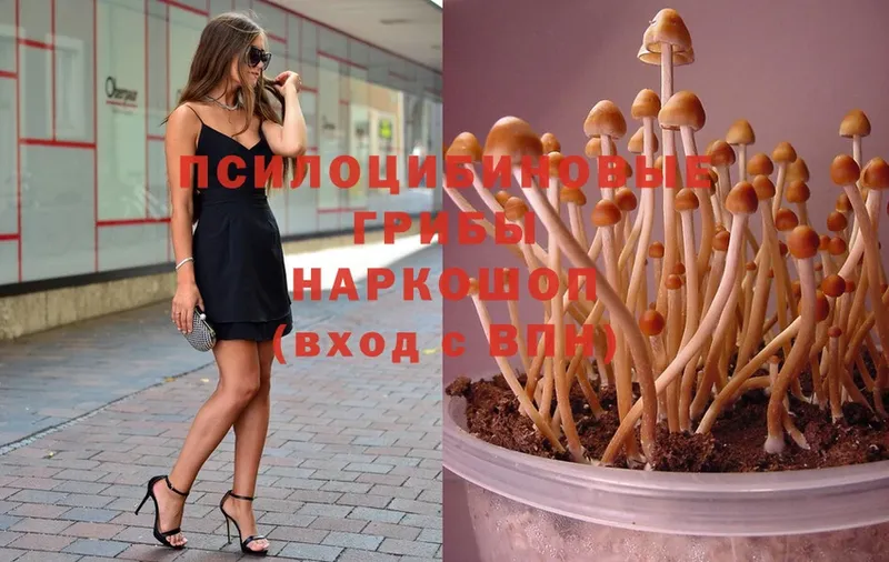 Галлюциногенные грибы Psilocybe  купить наркотики цена  kraken как войти  Арамиль 